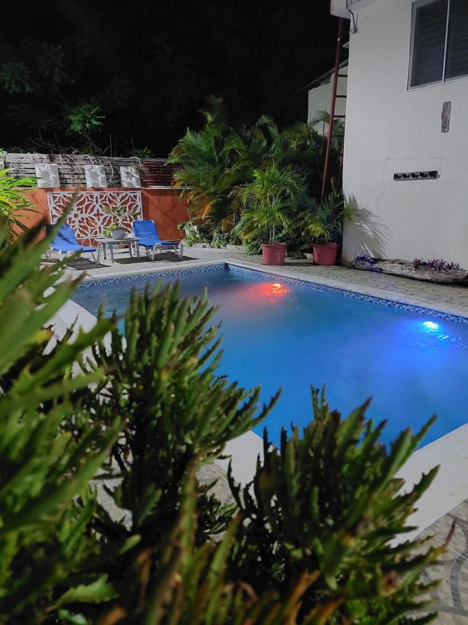 Complejo Villa Las Palmeras Piscina, Billar, Jardin, Bbq @Drvacationsrental Samana Zewnętrze zdjęcie