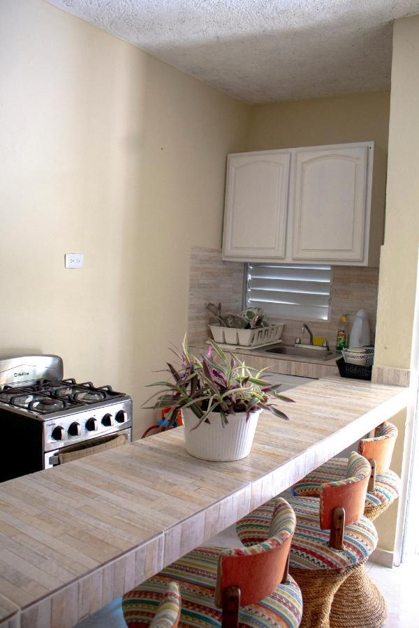 Complejo Villa Las Palmeras Piscina, Billar, Jardin, Bbq @Drvacationsrental Samana Zewnętrze zdjęcie
